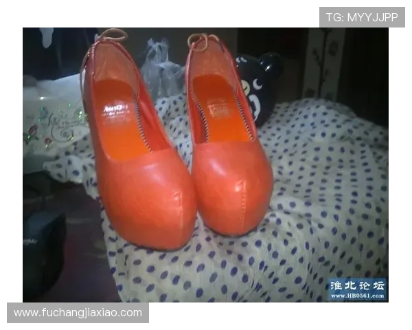 凯发网网站登录入口手机版下载安全验证流程详解，保障账号信息安全