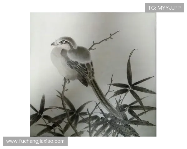 大发快三官网正规平台，保障资金安全，支持多种支付方式，轻松实现快速提款